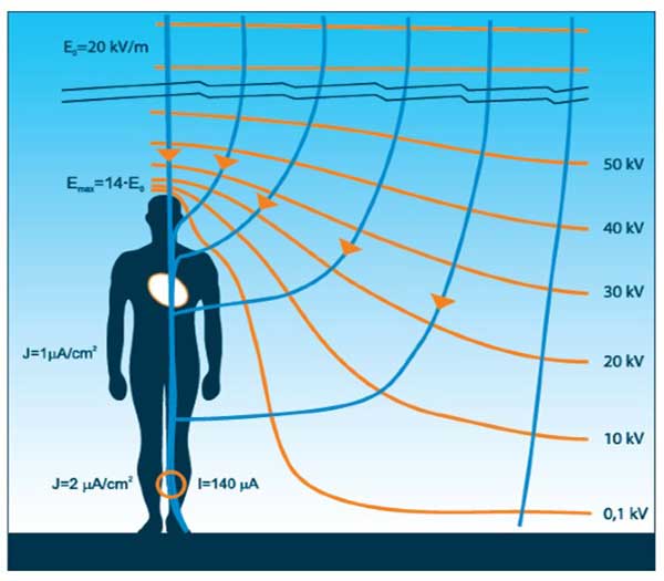 Človek v električnem in magnetnem polju