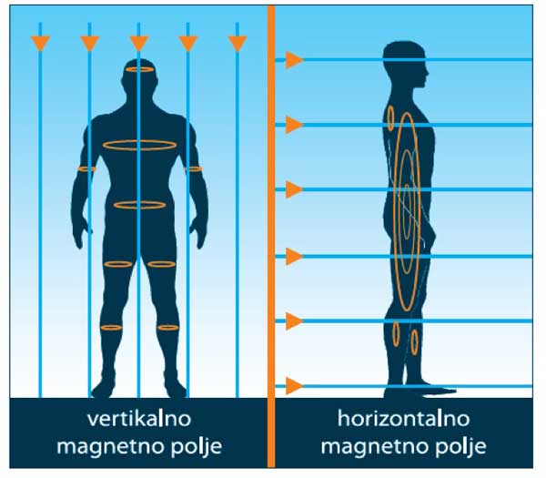 Človek v električnem in magnetnem polju